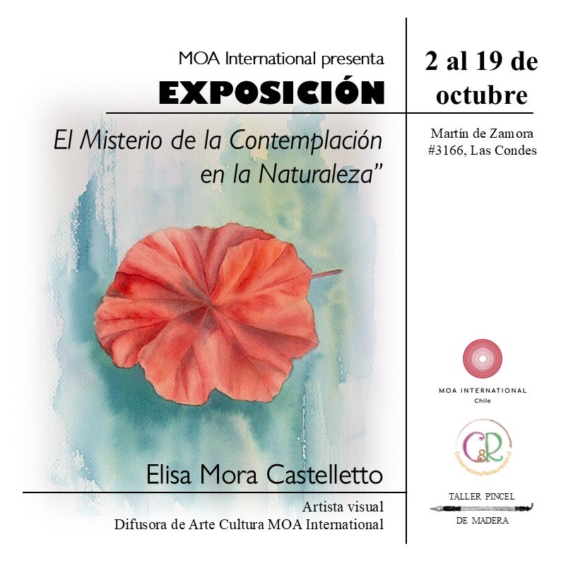 Invitación Expo: El misterio de la contemplación en la naturaleza – Elisa Mora Castelleto