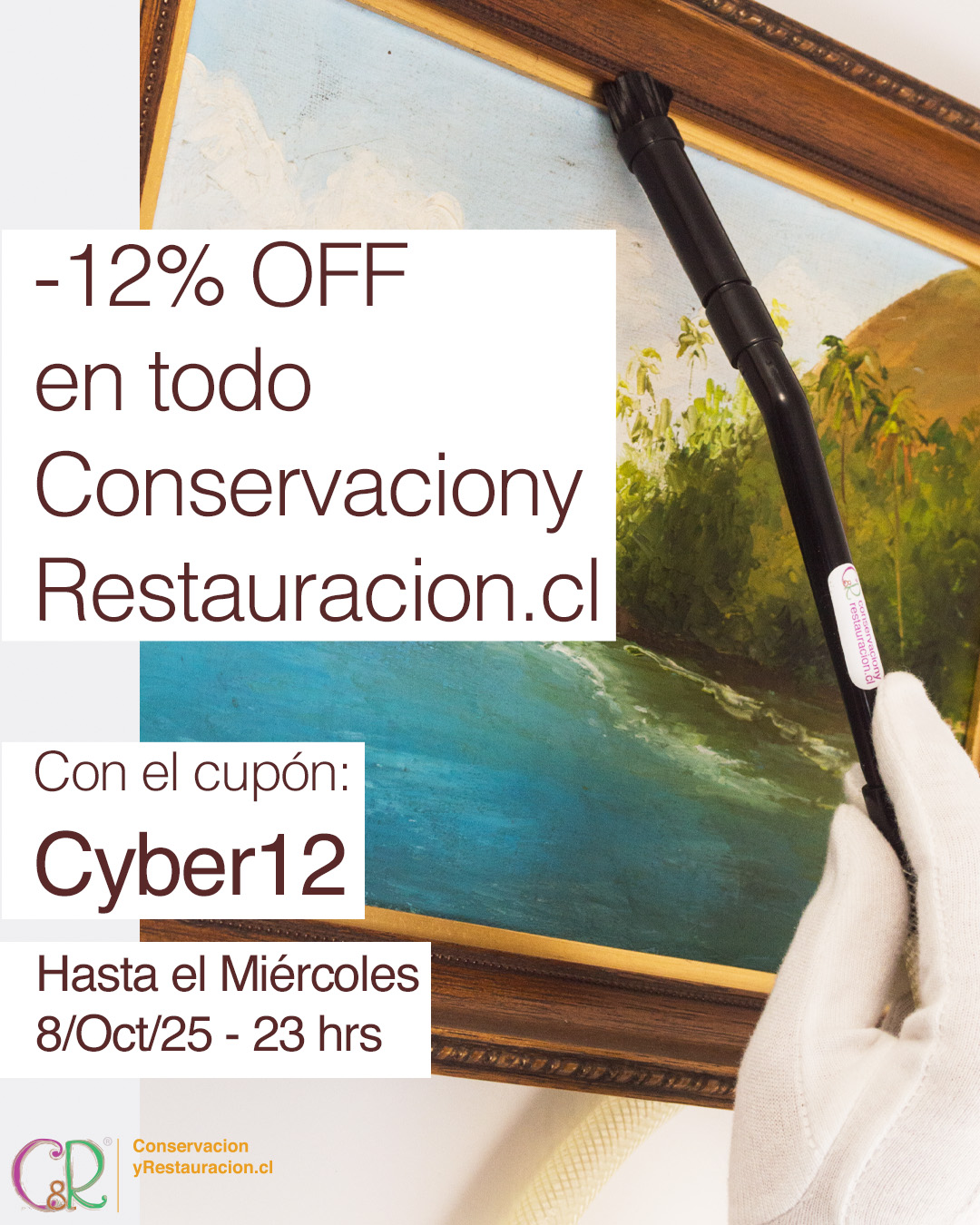Cyber Conservación y Restauración! Últimas horas!